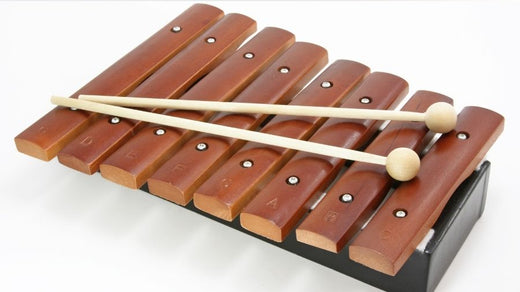 How to Play the Xylophone for Beginners (Tutorial)