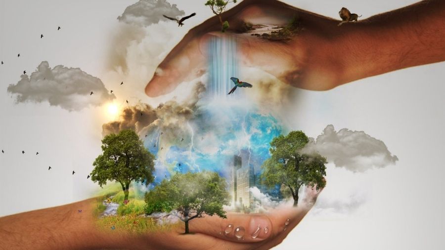 20 Deadliest Diseases That Changed the World