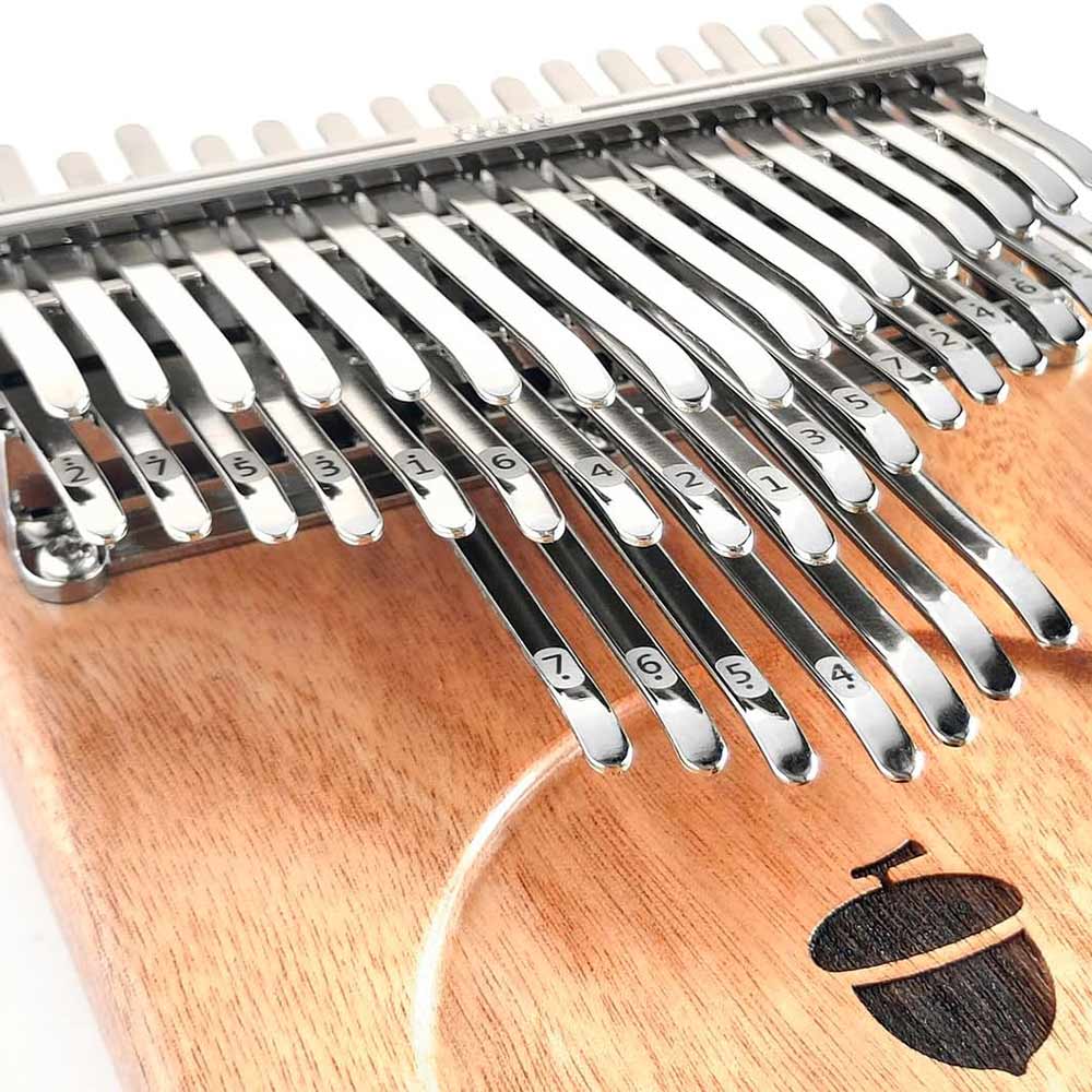 Extreme close-up of the Seeds Kalimba 41-key showing the engraved notes and detailed acorn engraving on the tines.