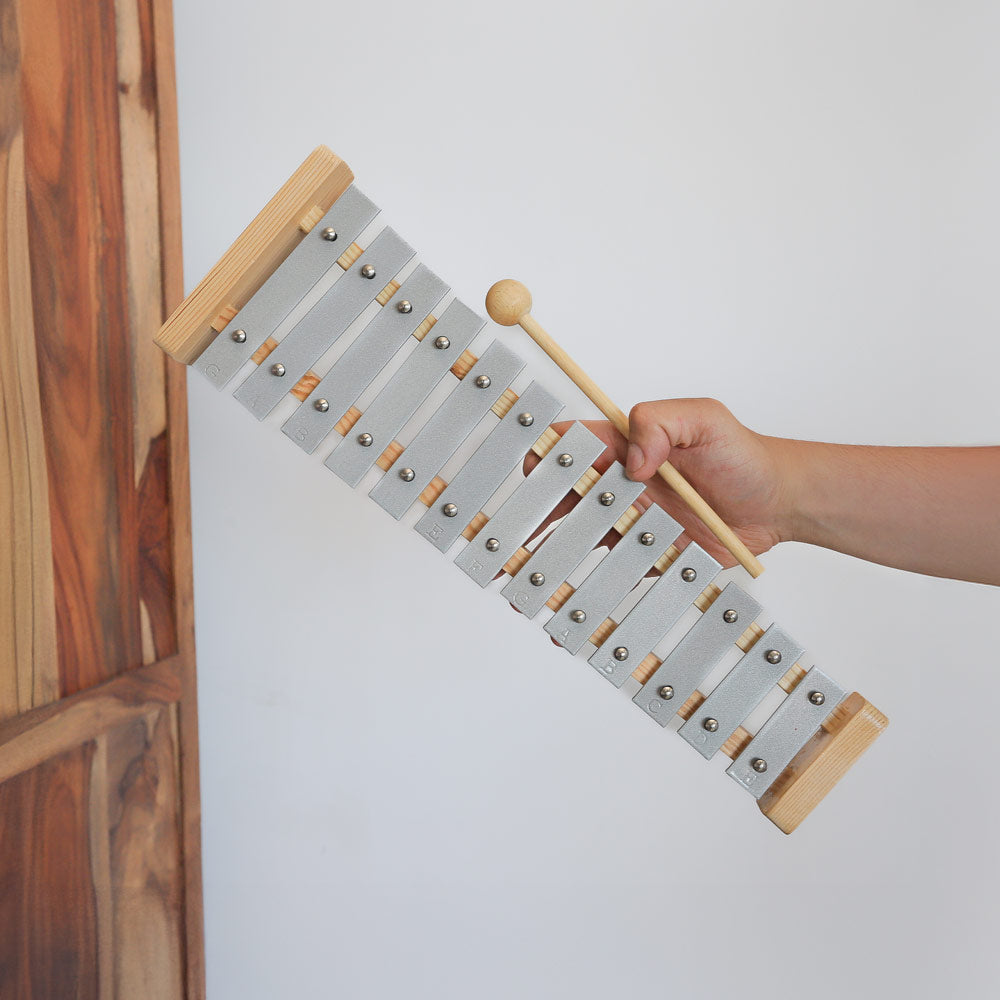 metal morii metallophone in hand