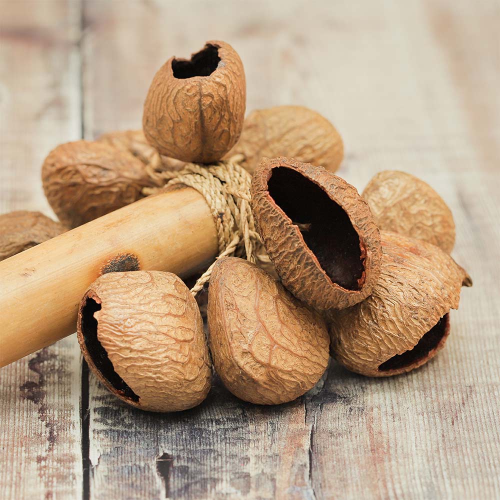 Close up of the Raha stick shaker showing the bamboo handle and large natural seeds tied to the handle.
