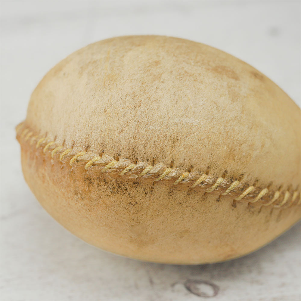 Close-up of the Terre Shamanic rattle shaker head, showcasing its natural texture