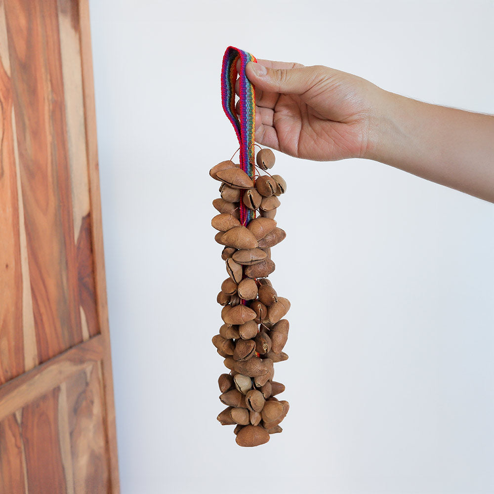 long rainbow lima cluster