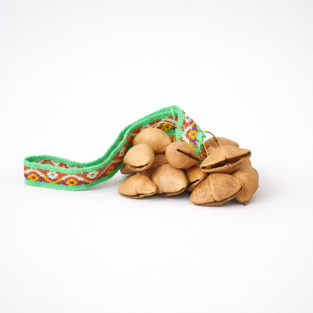 Lima ribbon nut shaker with colourful green strap on a white studio background