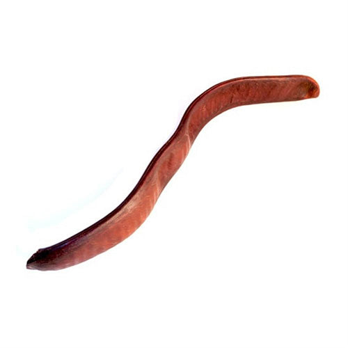 Natural plain pacay seed pod shaker instrument with white background