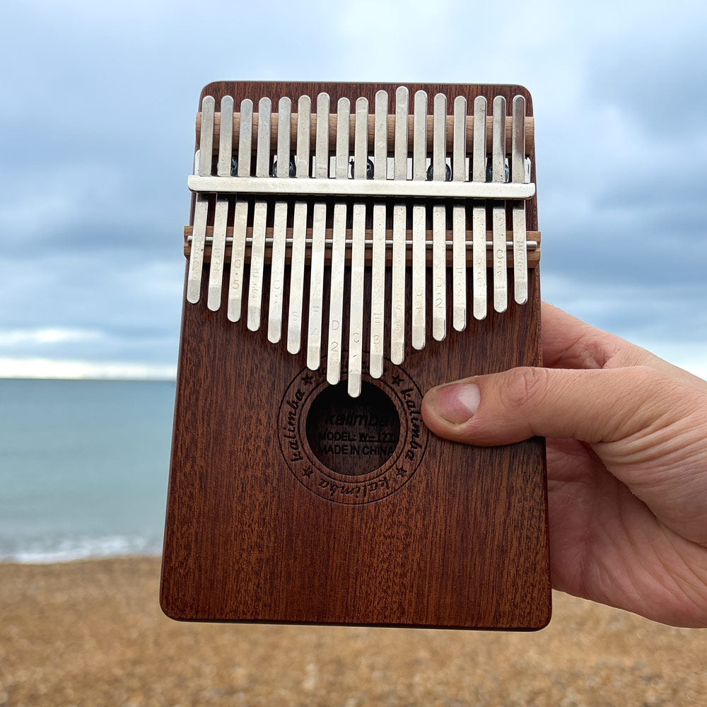 Wooden kalimba held by a hand with a beach in the background