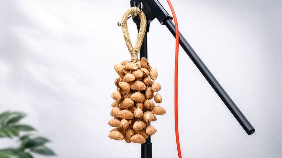 Lima nut cluster shaker made from natural seeds, hanging on a microphone stand in a clean studio setting, showing an organic percussion instrument used for rhythm and sound therapy.