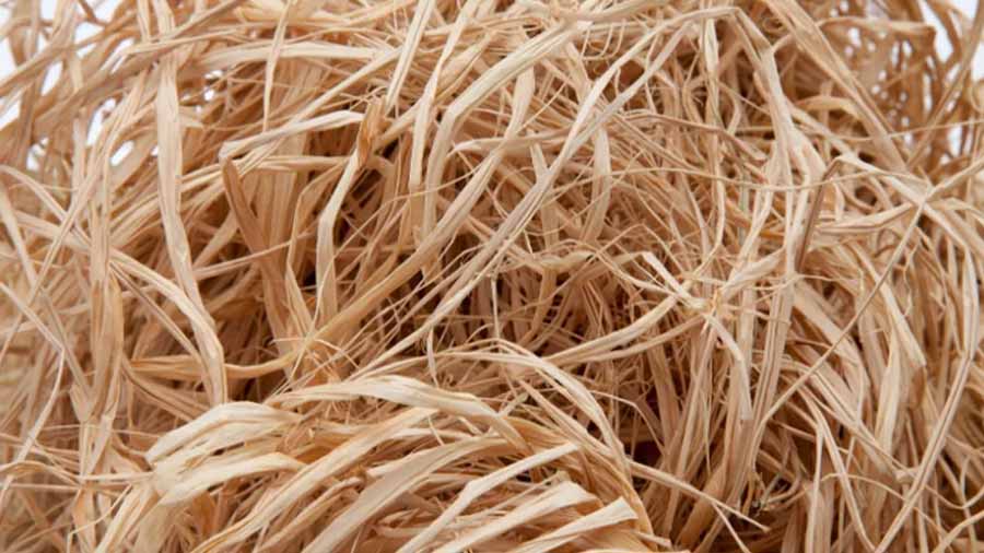 Rafia Ras What is Raffia? Uses, Crafts & More