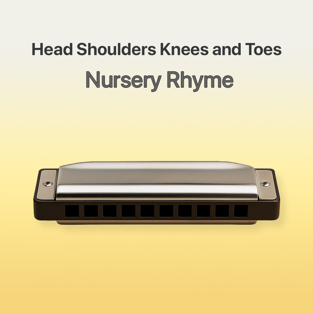 Head shoulders knees and toes - Harmonica tab